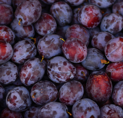 Prugne e Pluots in Esselunga