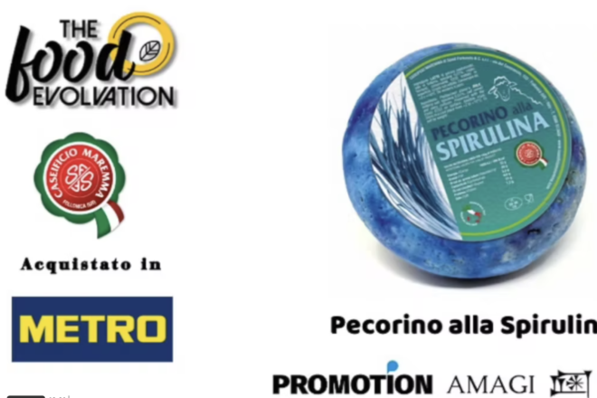 Pecorino all’Alga Spirulina – Caseificio Maremma