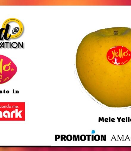 Yello, la nuova mela giapponese dal gusto sofisticato