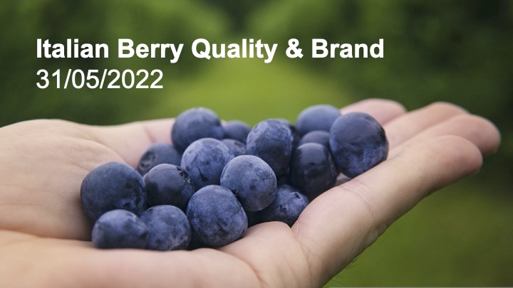 Italian Berry Quality & Brand