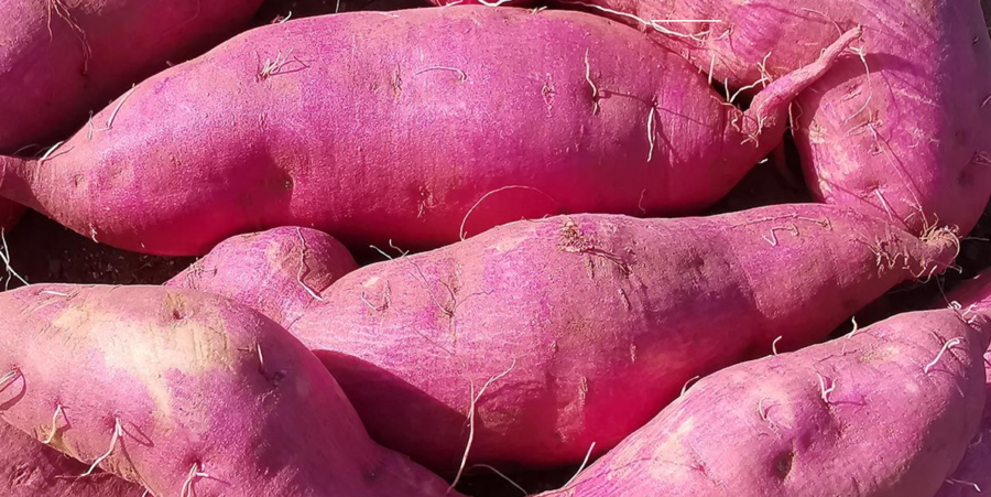 Dalla patata zuccherina del Salento il benessere goloso di Patazù