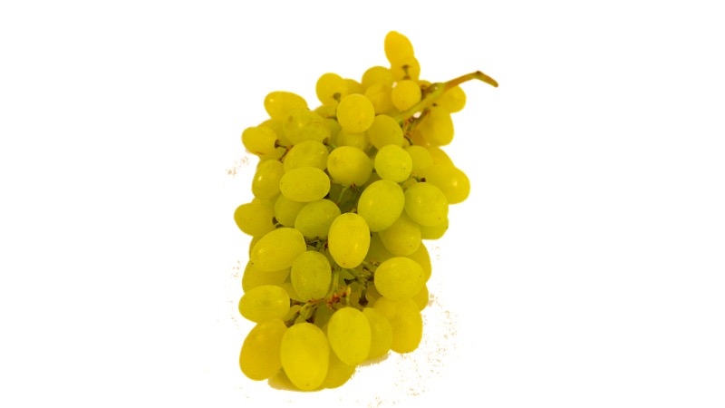 Gocce di zucchero in Coop: uva Sugar Drop (ARRA 30)