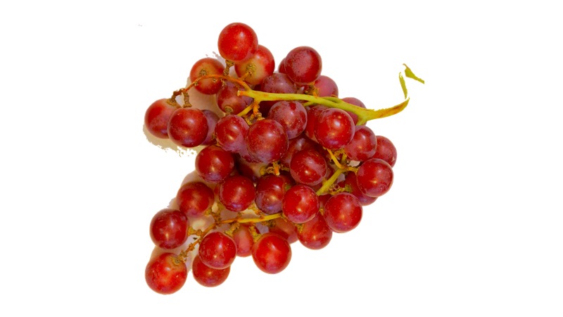 Magenta: la varietà di uva rossa dal sapore di ciliegie