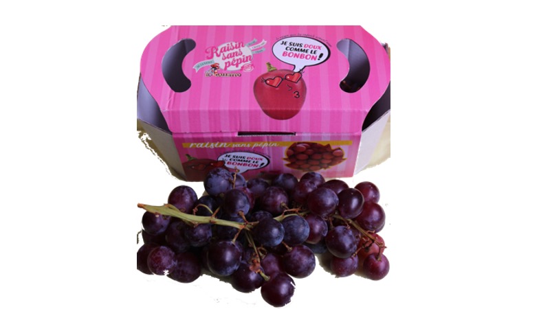 Sweet Celebration un’uva premium anche italiana