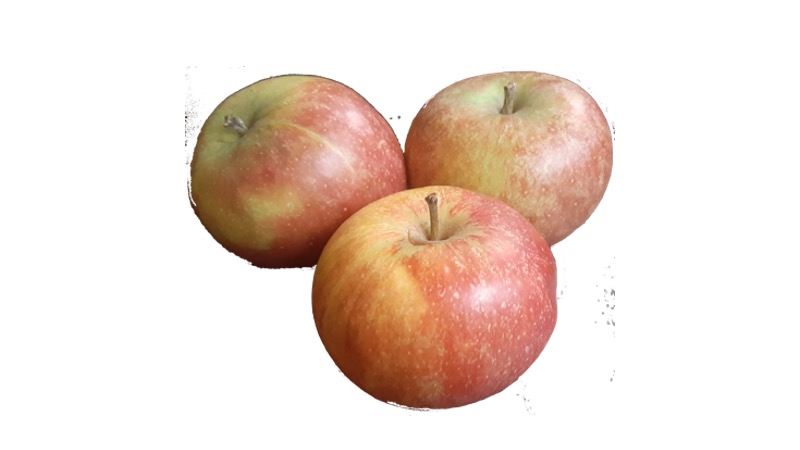 Cox Orange Pippin, la più classica mela inglese