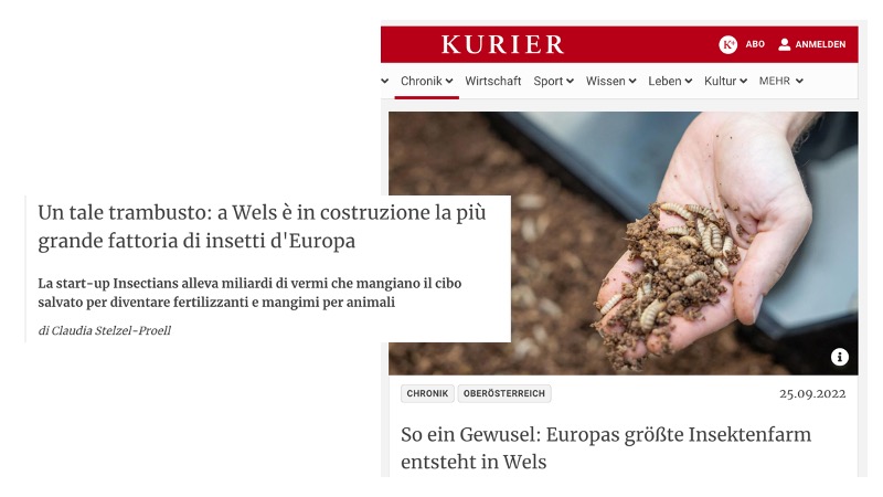 L’ecologismo non è un pranzo di gala: A Wels è in costruzione la più grande fattoria di insetti d’Europa