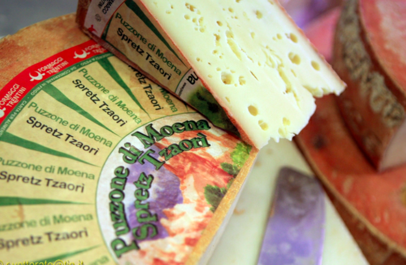 The “Puzzone di Moena Dop” won the  First Prize at the Italian Cheese Awards