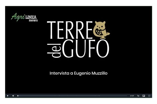 Consorzio di tutela vini Dop Terre di Cosenza – Serragiumenta e Terre del Gufo (Video)