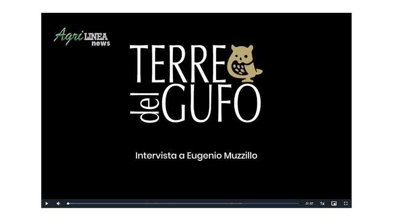 Consorzio di tutela vini Dop Terre di Cosenza – Serragiumenta e Terre del Gufo (Video)