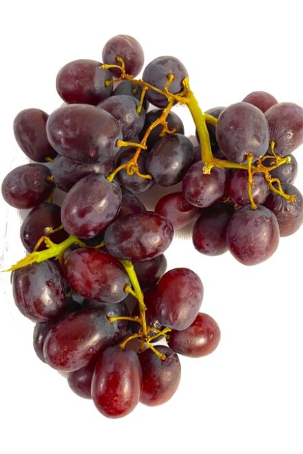 From Namibia through Peviani the sweet and early Arra 13