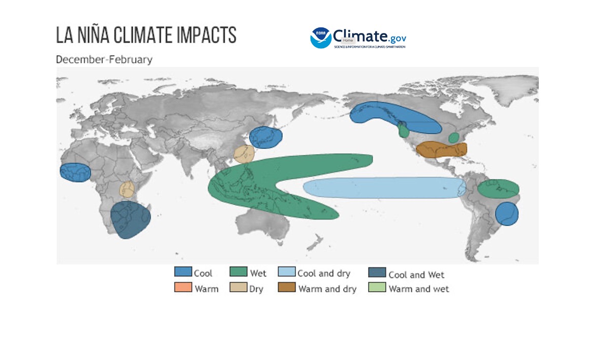 2024 – È in arrivo El Niño e con esso aumenti di prezzo delle materie prime alimentari