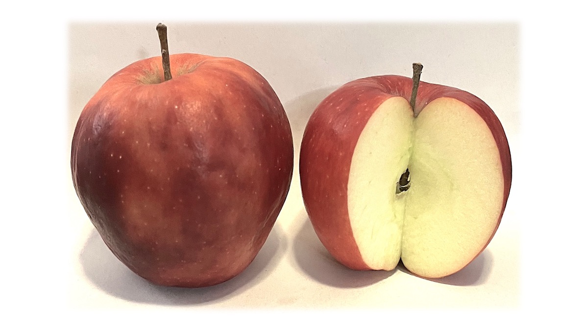Reinette Rouge,  una mela dalla lunga tradizione