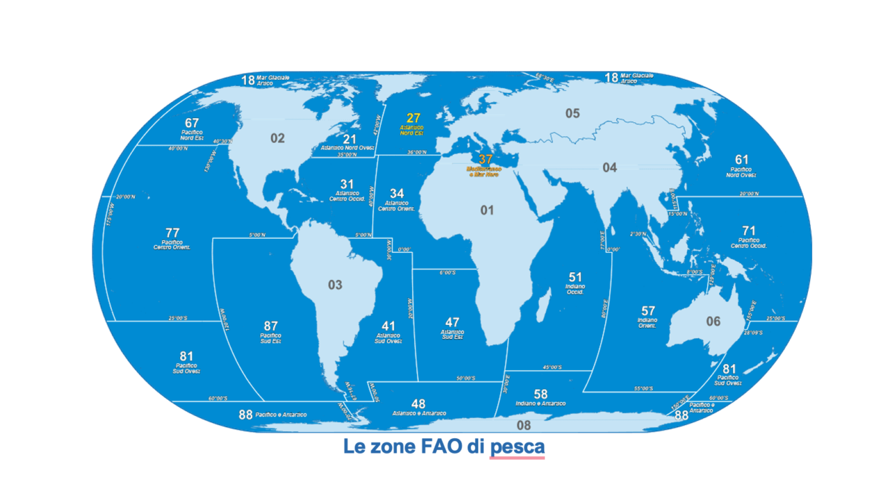 Storie di mari e oceani in una scatoletta di tonno