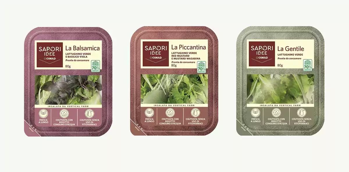 Conad si lancia nel vertical farming: arrivano sui banchi le insalate Sapori&Idee