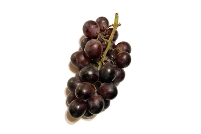 Adora  (Sugra34) un’altra uva nera dal Sudafrica nei reparti della GDO