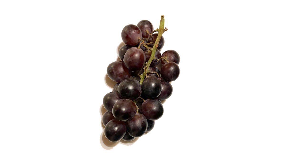 Adora  (Sugra34) un’altra uva nera dal Sudafrica nei reparti della GDO