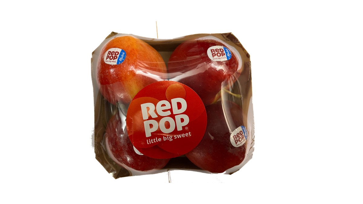 Dal consorzio Vog  la nuova varietà di mele  Red Pop