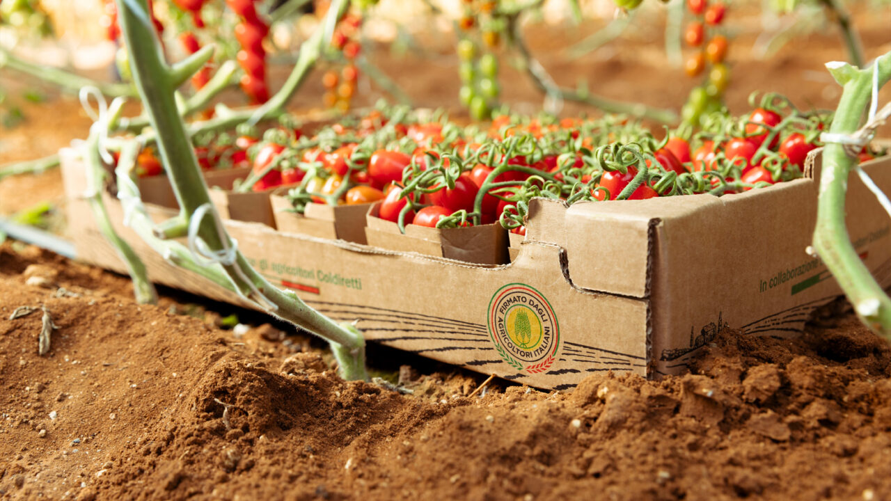 Lidl Italia rilancia “Freschezza in tutti i sensi”: storytelling e filiera per valorizzare l’ortofrutta italiana